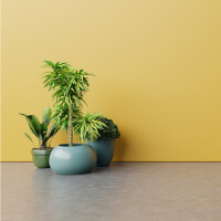 Блог недвижимость